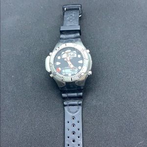 Citizens Men Divers Promaster watch